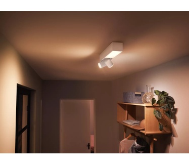 Philips Centris, 2-lichts plafondlamp