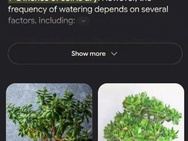 Google generatie AI in zoekmachine en Circle To Search, januari 2024