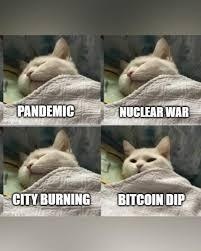 Afbeeldingslocatie: https://tweakers.net/i/FqnJgtgaQWCNofmwSNa55hUF1Q4=/fit-in/4920x3264/filters:max_bytes(3145728):no_upscale():strip_icc():strip_exif()/f/image/Hk7UKqElwQf1zsCZQDO5eUp0.jpg?f=user_large