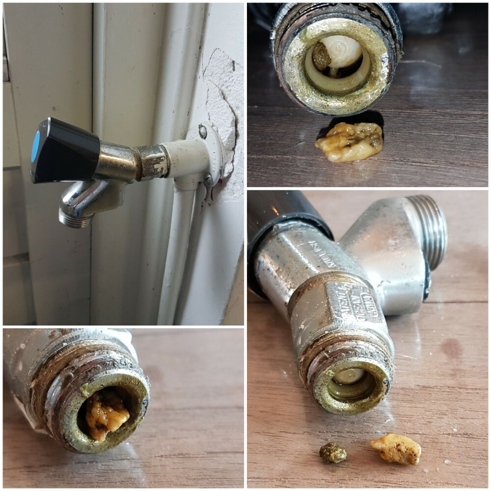 Afbeeldingslocatie: https://tweakers.net/i/Fru705Sm07ETOew41FwQSUEvZk0=/full-fit-in/4920x3264/filters:max_bytes(3145728):no_upscale():strip_icc():fill(white):strip_exif()/f/image/SLByfeh4AfQTQQbwENHX8CsX.jpg?f=user_large