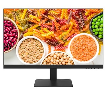 Hikvision DS-D5024F2-1V2S