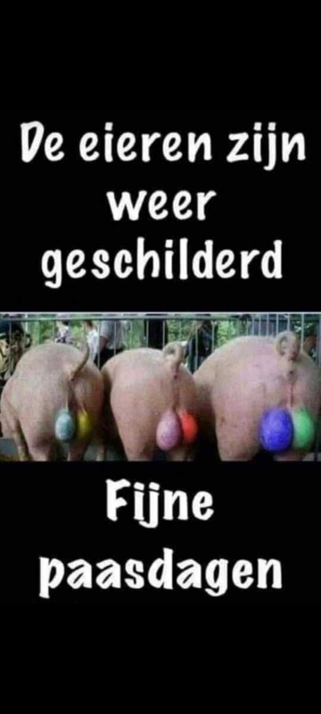 Afbeeldingslocatie: https://tweakers.net/i/FtZ1D0ZW6z8lRjugkLR05aa7IsQ=/x800/filters:strip_icc():strip_exif()/f/image/Jn1vljceGGIrpD1rOM723wdD.jpg?f=fotoalbum_large