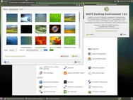 Ubuntu MATE 15.04
