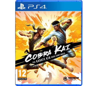 Cobra Kai: The Karate Kid Saga Continues