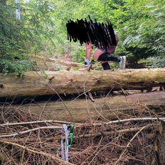 Afbeeldingslocatie: https://tweakers.net/i/FvcPr0fBmFN6Oa0_v26W0yXOepU=/232x232/filters:strip_icc():strip_exif()/f/image/X4y8qb9ApupL0lrLVZMToRAf.jpg?f=fotoalbum_tile