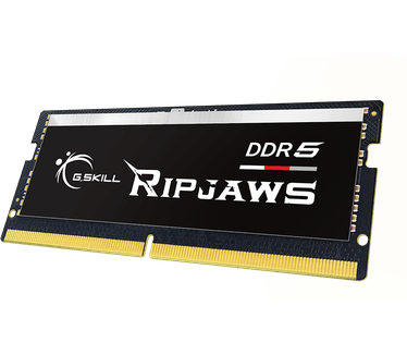 G.Skill Ripjaws F5-4800S4039A32GX1-RS