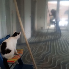 Afbeeldingslocatie: https://tweakers.net/i/Fyao074Q02i_j-UPBUJ6ldXmM0U=/232x232/filters:strip_icc():strip_exif()/f/image/7JL7tkDXURkxjhKRFa959ocN.jpg?f=fotoalbum_tile