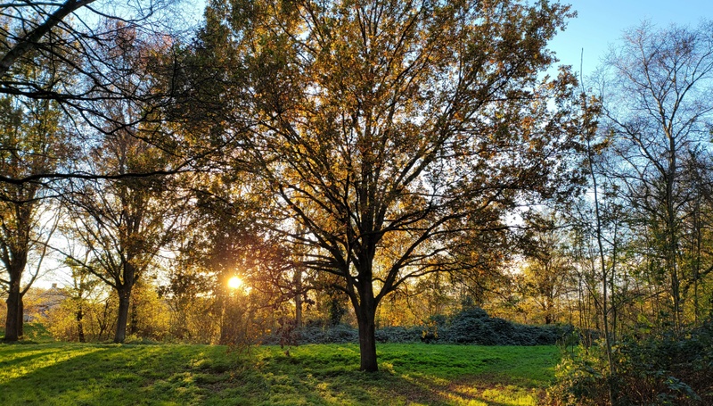 Afbeeldingslocatie: https://tweakers.net/i/G1UXkC6U6NWvPcwDPbkB-Ur8mkI=/800x/filters:strip_icc():strip_exif()/f/image/hKwNbrpjchuz03RLpOXY1yT4.jpg?f=fotoalbum_large