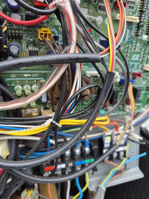 Afbeeldingslocatie: https://tweakers.net/i/G2wUH19QX86Cy1bN47AFZaV14Hk=/x800/filters:strip_icc():strip_exif()/f/image/TXLgYYqr2ecxu2OTjEJtbopP.jpg?f=fotoalbum_large