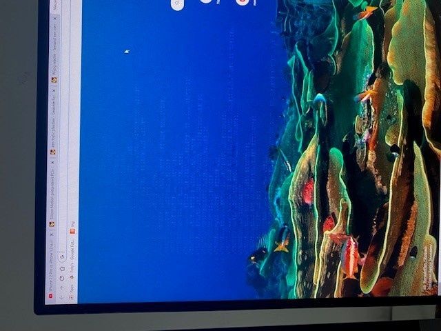 Afbeeldingslocatie: https://tweakers.net/i/G3KOODE19Tu63Iwnnnw6Iu6XxYw=/full-fit-in/4920x3264/filters:max_bytes(3145728):no_upscale():strip_icc():fill(white):strip_exif()/f/image/WX9Wh9oJmC6636KUtM8rM53T.jpg?f=user_large