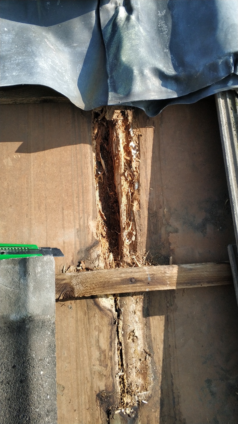 Afbeeldingslocatie: https://tweakers.net/i/G5MQvrYhWhR84FPoJFW1QqDGCaU=/800x/filters:strip_icc():strip_exif()/f/image/duc6d9LGAZEBv61fTeemke4z.jpg?f=fotoalbum_large