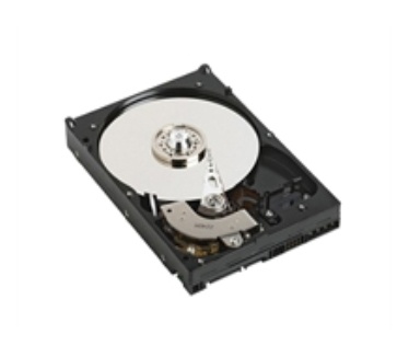 Dell 1TB 2.5" SATA II
