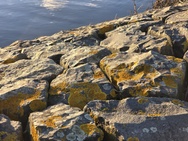 OnePlus 15 cameratest - Telecamera