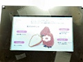 Sharp 14,1 inch lcd