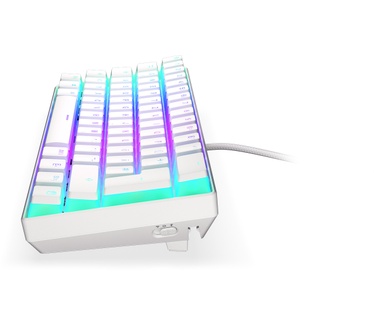 ENDORFY Thock Compact