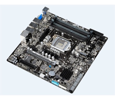 Asus WS C246M PRO/SE