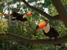 Planet Zoo 2