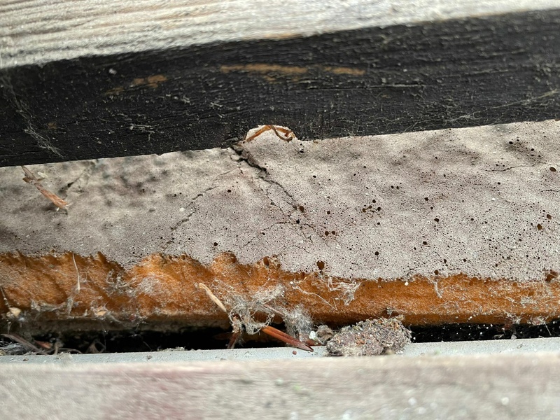 Afbeeldingslocatie: https://tweakers.net/i/GMyj-uFyqtYfYZ7ko-1VRbQsbo8=/800x/filters:strip_icc():strip_exif()/f/image/Wpykbx14mZNzdx5UKHUsQs9t.jpg?f=fotoalbum_large