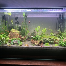 Afbeeldingslocatie: https://tweakers.net/i/GNWpHbqbDv5Ofww6paKh0hjnzFk=/232x232/filters:strip_icc():strip_exif()/f/image/RYQHQhjF6HoPzsRRi9CVPwL4.jpg?f=fotoalbum_tile