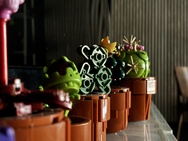 Cameratest iPhone 17e - Twee keer zoom