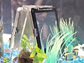 Toshiba AT100 onder water