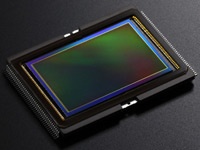 Canon EOS 6D sensor 200px