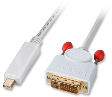 Lindy Mini DisplayPort - DVI-D, 2m