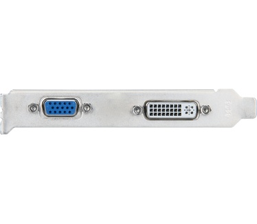 MSI N6200-512D2H/LP