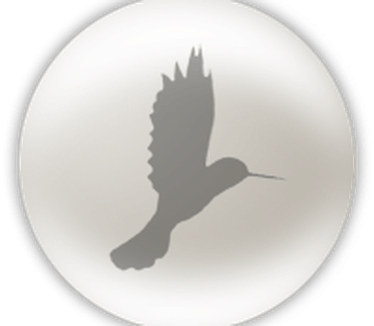 Colibri splash screen