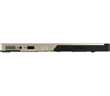 ASUS GZ302EAC-RU178W