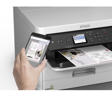Epson T01D400