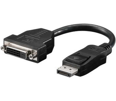 Wentronic DisplayPort - DVI-D M/F