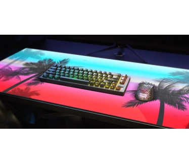 Xtrfy GP5-XL-MIAMI
