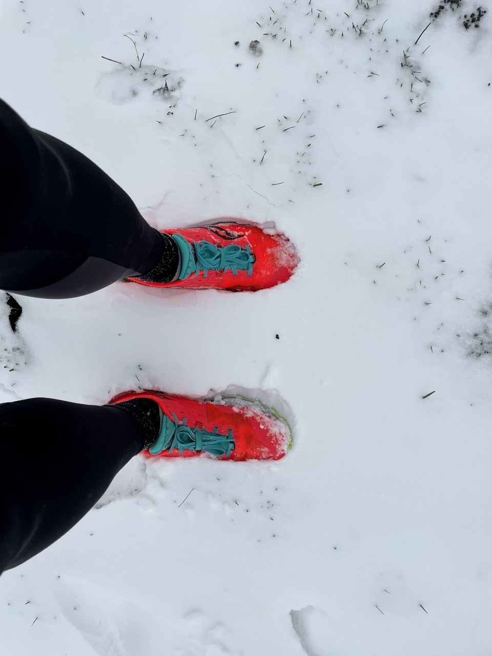 Afbeeldingslocatie: https://tweakers.net/i/GafCmZrwVT_huJRnt-Q6pu9Ze80=/full-fit-in/4920x3264/filters:max_bytes(3145728):no_upscale():strip_icc():fill(white):strip_exif()/f/image/iemoGD3Z8hQ8wEOPaQjIPGs9.jpg?f=user_large