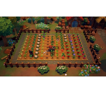 Fae Farm