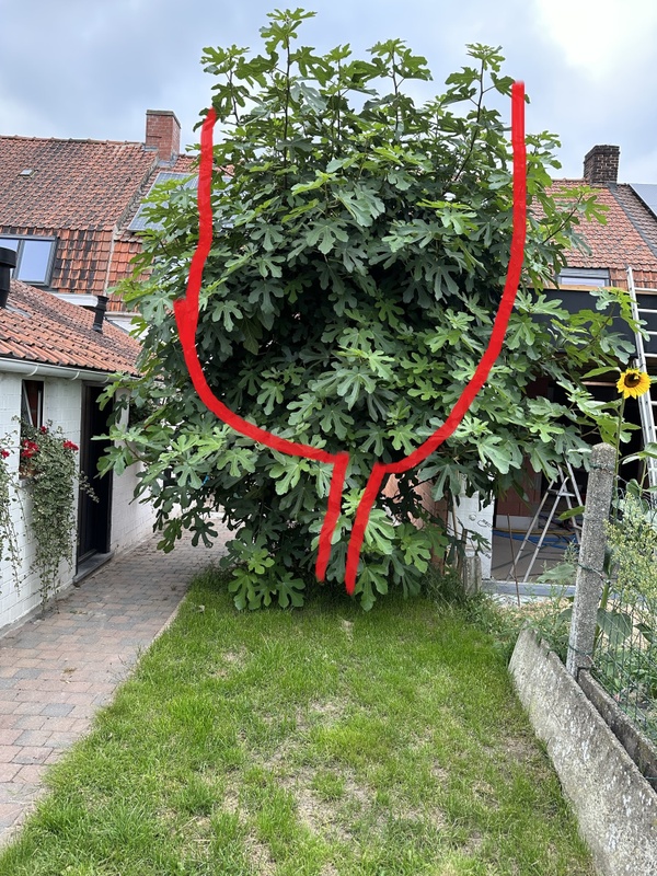 Afbeeldingslocatie: https://tweakers.net/i/GcdMr4YcqibHDYZckg6FUFuIWRA=/x800/filters:strip_icc():strip_exif()/f/image/tLKhL40hw6KHV9ld6sJfwhjA.jpg?f=fotoalbum_large