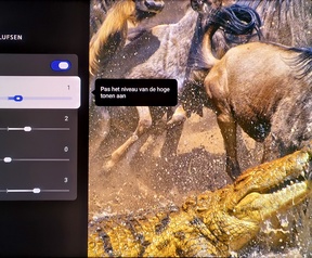 TCL X11L - equalizers