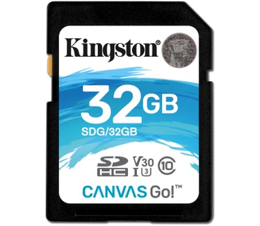 Kingston Canvas Go!
