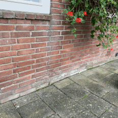 Afbeeldingslocatie: https://tweakers.net/i/GiSgQN2MLfQtw3bOROvP4EeUSfo=/232x232/filters:gifsicle():strip_exif()/f/image/nIJwNSFw2ckVW1BaVW1JeRup.gif?f=fotoalbum_tile