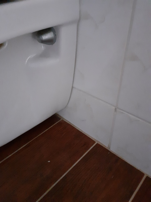 Afbeeldingslocatie: https://tweakers.net/i/GmduL2nAcCARmNg4TdxNPjWM4FA=/x800/filters:strip_icc():strip_exif()/f/image/tIASyNmZOBJlfgWYEA1ITsyW.jpg?f=fotoalbum_large