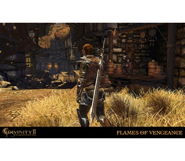 Divinity II: The Dragon Knight Saga
