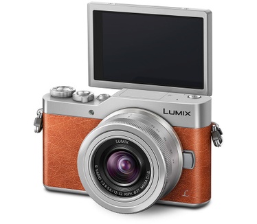 Panasonic Lumix DC-GX800 + 12-32mm f/3.5-5.6 Oranje