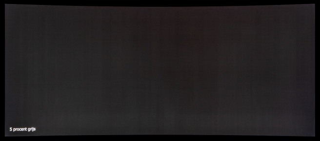 LG UltraGear evo 39GX950B - Grijsuniformiteit
