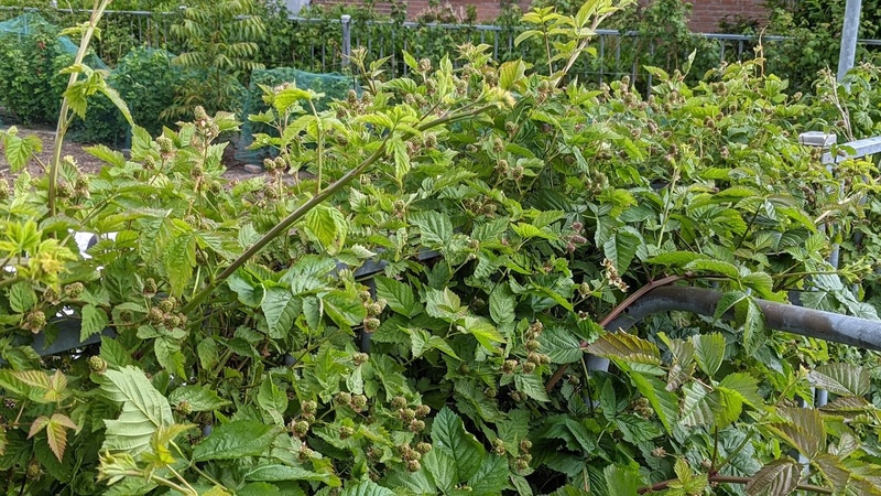 Afbeeldingslocatie: https://tweakers.net/i/GtjTHdlM_8HY3inMyd0yqC1EN8I=/800x/filters:strip_icc():strip_exif()/f/image/aovtDlA7Qi7Q25ywstv0dX0J.jpg?f=fotoalbum_large