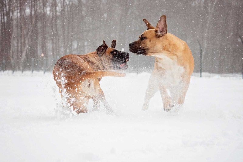 Afbeeldingslocatie: https://tweakers.net/i/GtxYG5oe3C5e7qFu8T47bvctaQQ=/800x/filters:strip_icc():strip_exif()/f/image/AMQX6j9P4whZheyAt1ga49KN.jpg?f=fotoalbum_large