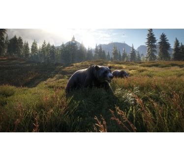theHunter: Call of the Wild, PS4