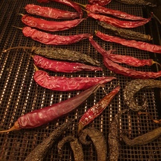 Afbeeldingslocatie: https://tweakers.net/i/GwQZR0hS0SdLb3ugA6XSCmHDxXE=/232x232/filters:strip_icc():strip_exif()/f/image/6Yky8L6LaCbM6Q2vw28qNQyx.jpg?f=fotoalbum_tile