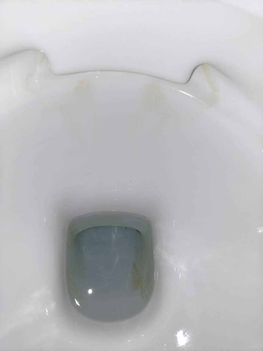 Geberit toilet met gebruik Duo Fresh sticks