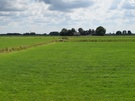 DSLRs landschap