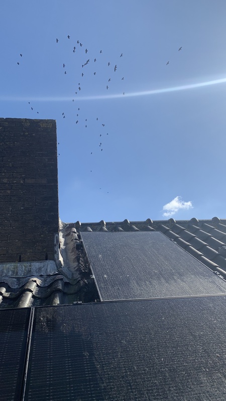 Afbeeldingslocatie: https://tweakers.net/i/Gysfd6I4DUn55Hbmm23ZZ61w57I=/x800/filters:strip_icc():strip_exif()/f/image/qPOmkJ7kpDWXmJF2CD4I0mSo.jpg?f=fotoalbum_large